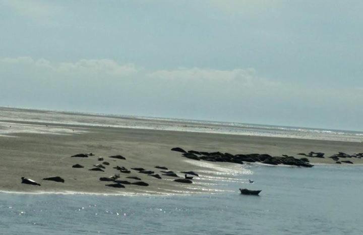 Relais Vacances A La Mer 2 Berck Kültér fotó